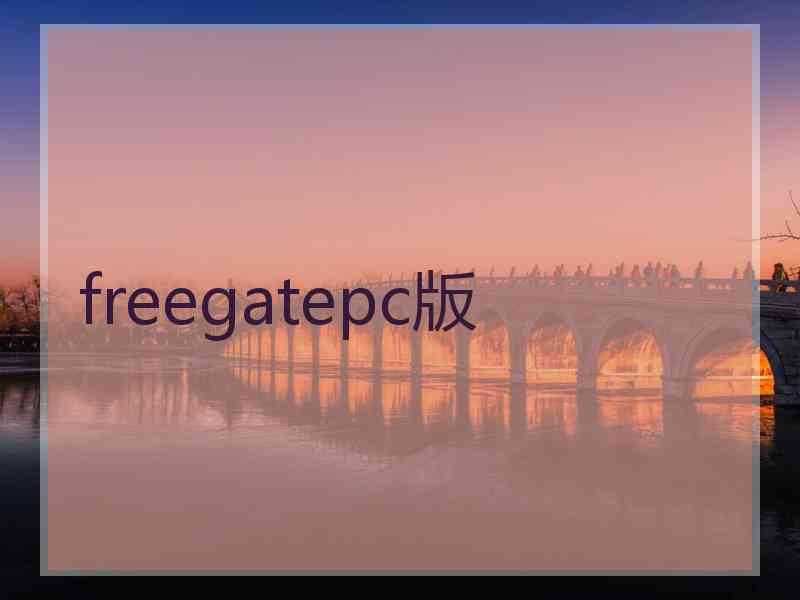 freegatepc版