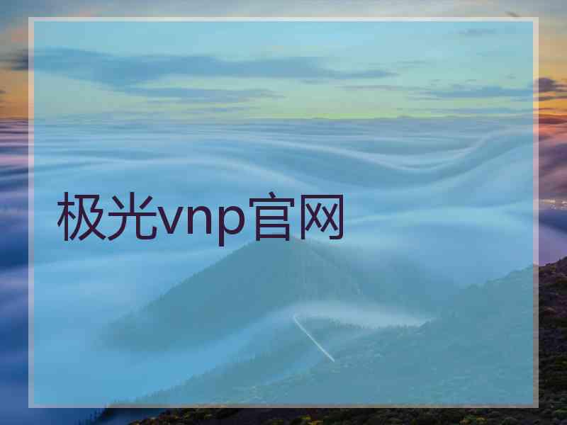 极光vnp官网