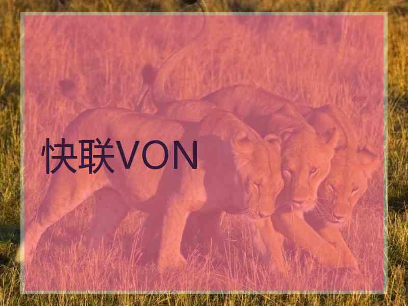 快联VON