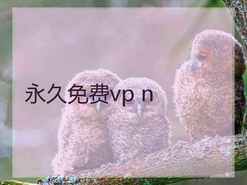 永久免费vp n