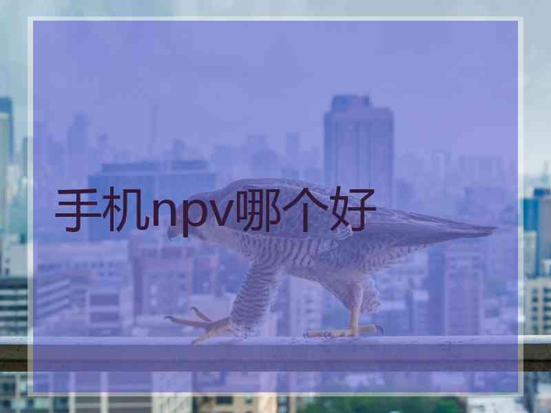 手机npv哪个好