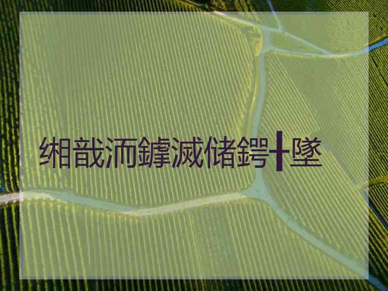 缃戠洏鎼滅储鍔╂墜