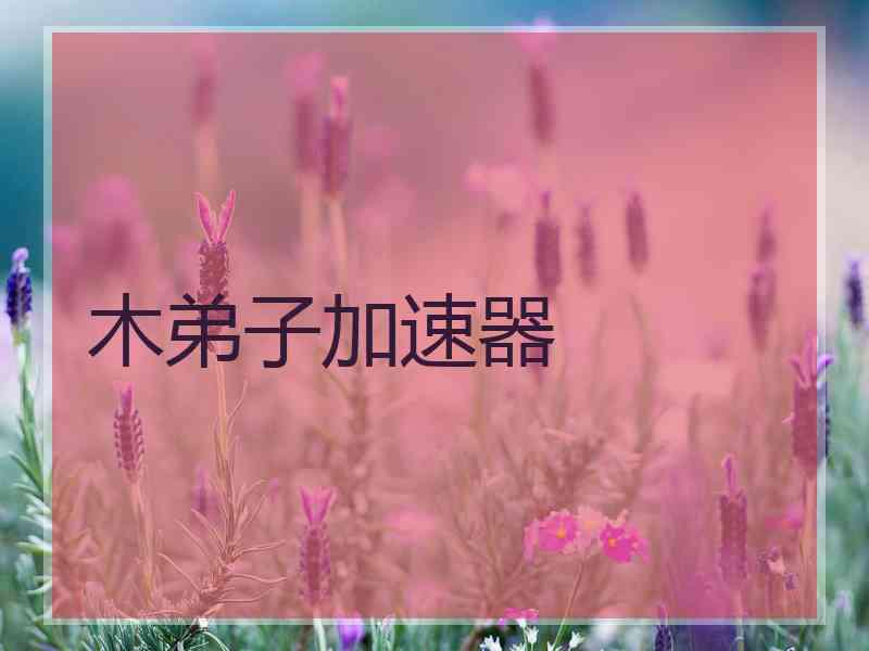 木弟子加速器