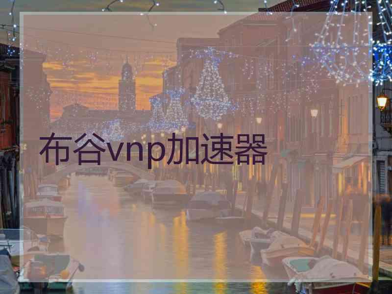 布谷vnp加速器