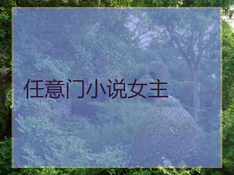 任意门小说女主