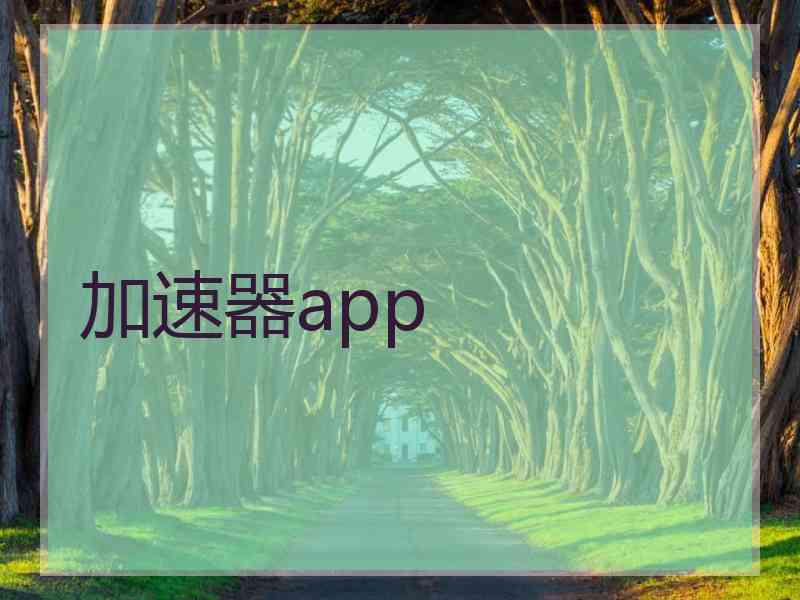 加速器app