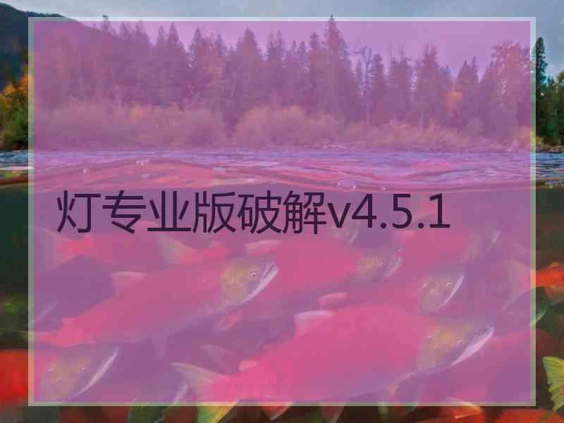 灯专业版破解v4.5.1