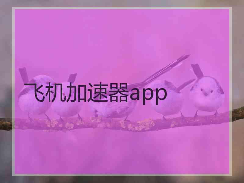 飞机加速器app