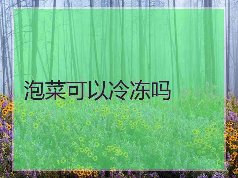 泡菜可以冷冻吗