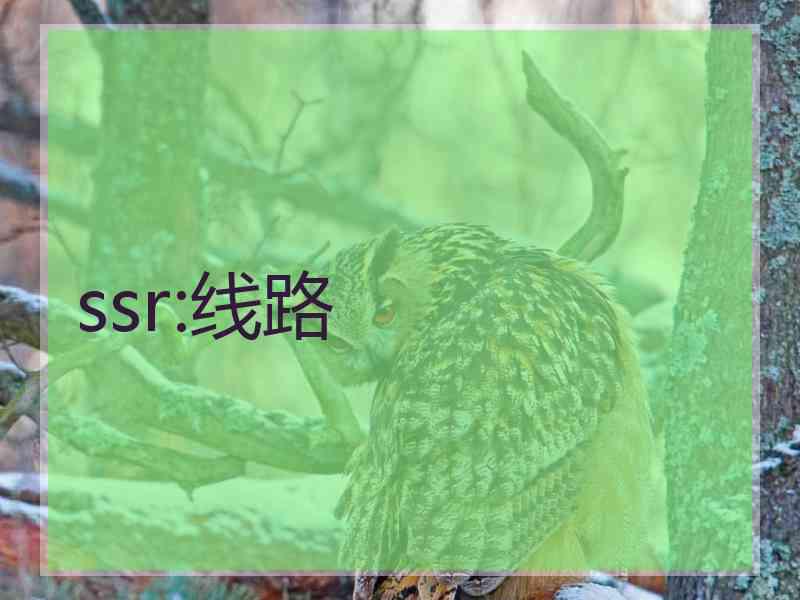 ssr:线路