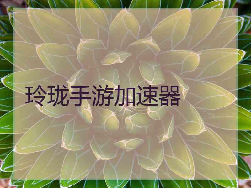 玲珑手游加速器