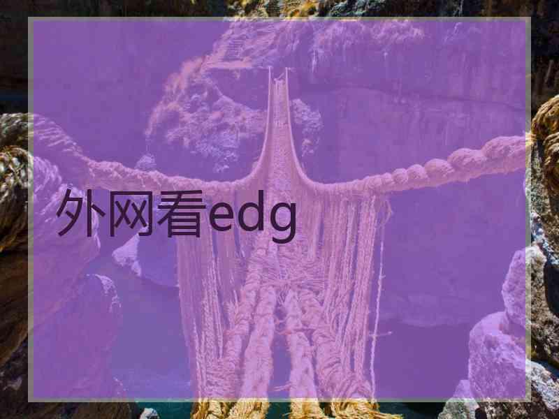 外网看edg