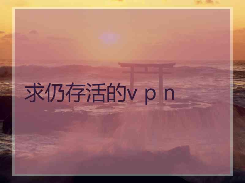 求仍存活的v p n