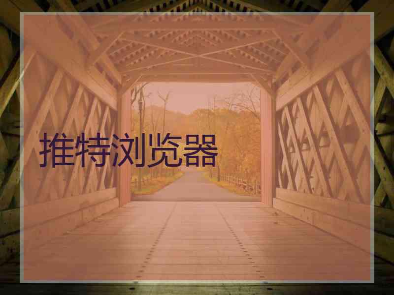 推特浏览器