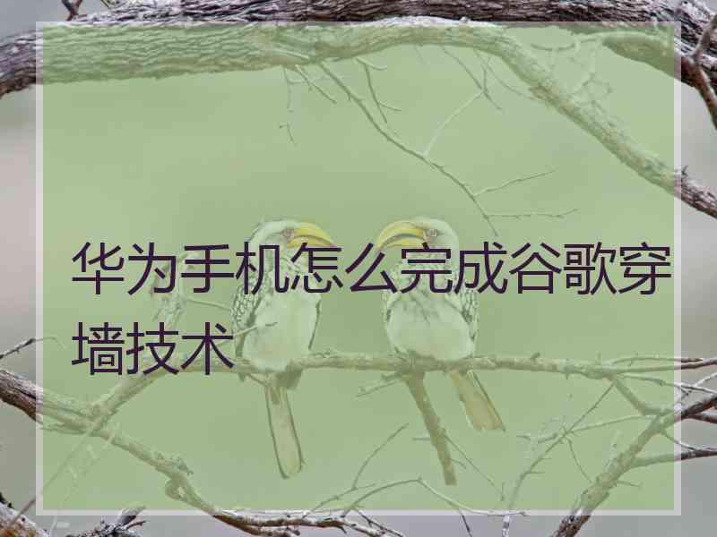 华为手机怎么完成谷歌穿墙技术