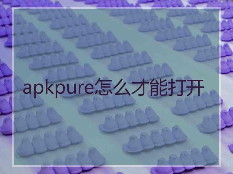 apkpure怎么才能打开