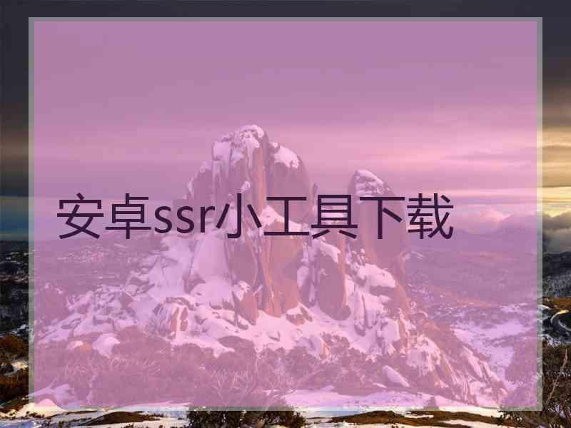 安卓ssr小工具下载