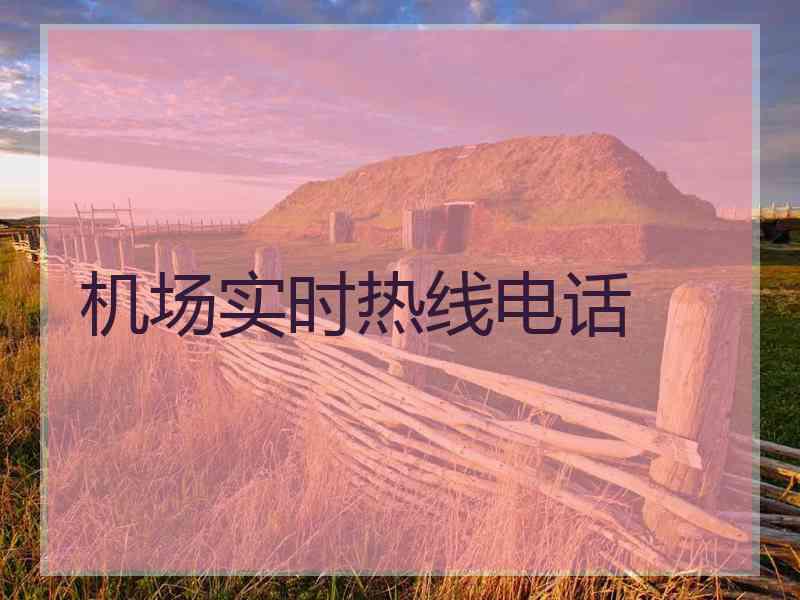 机场实时热线电话