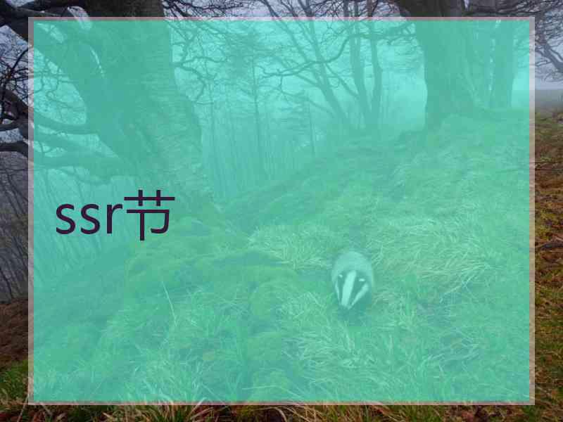 ssr节