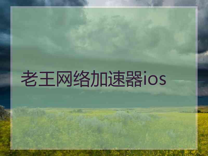 老王网络加速器ios