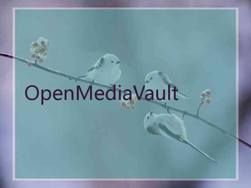 OpenMediaVault