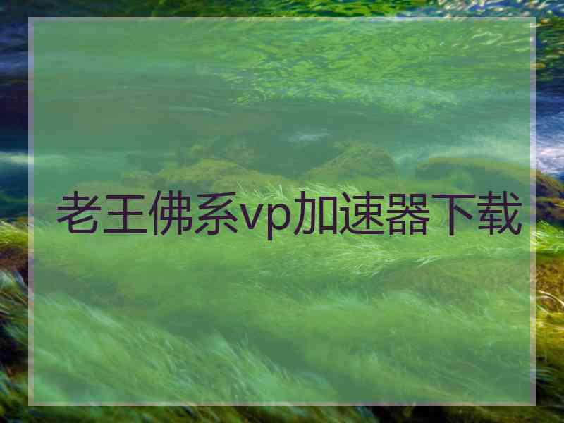 老王佛系vp加速器下载