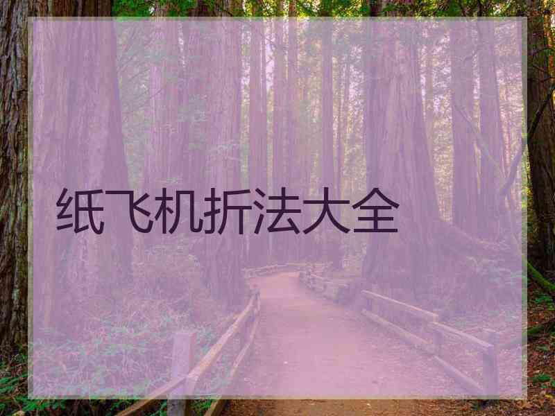 纸飞机折法大全
