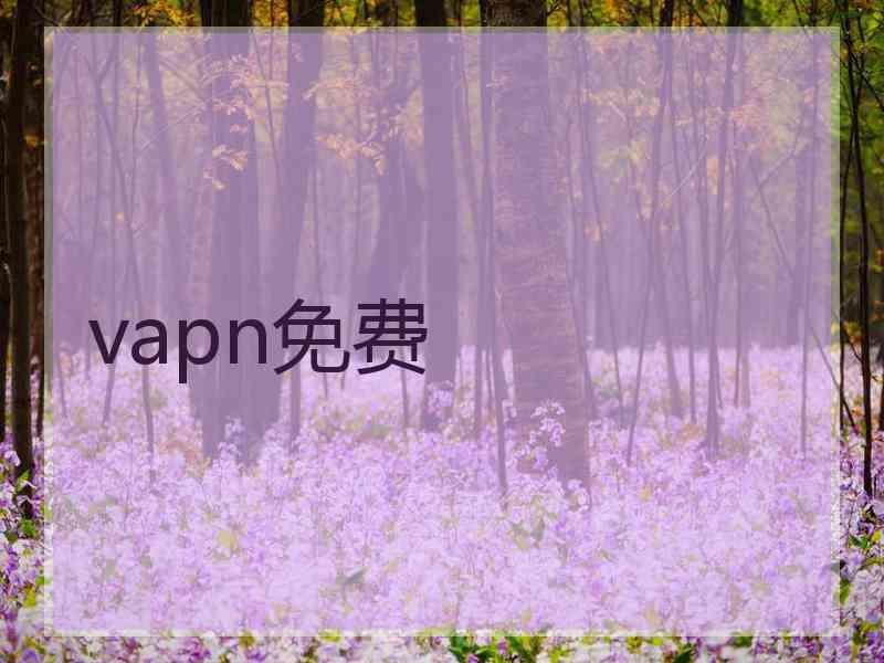 vapn免费