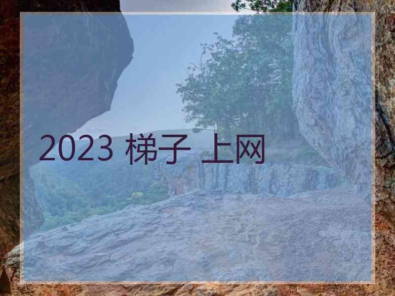 2023 梯子 上网