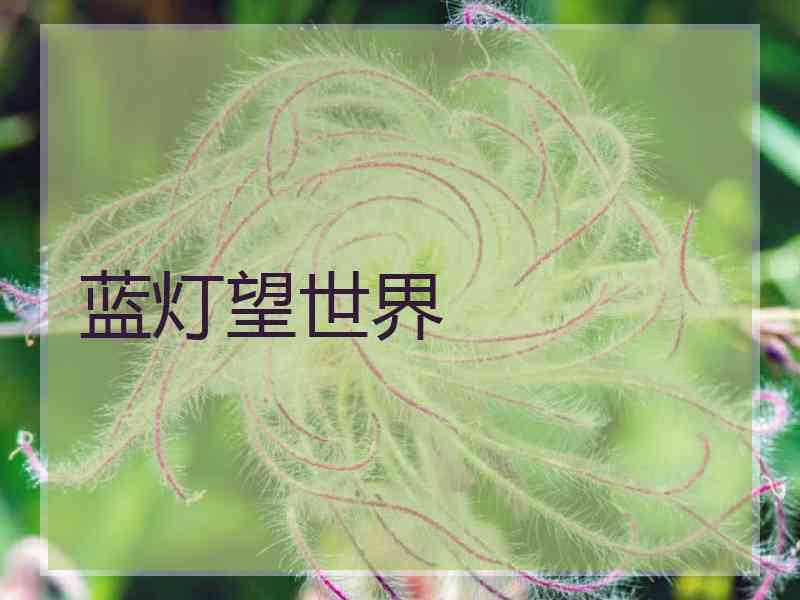 蓝灯望世界