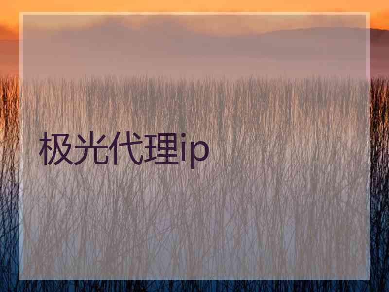 极光代理ip