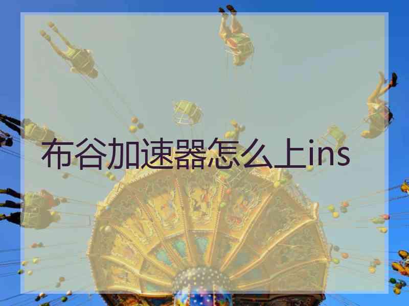 布谷加速器怎么上ins