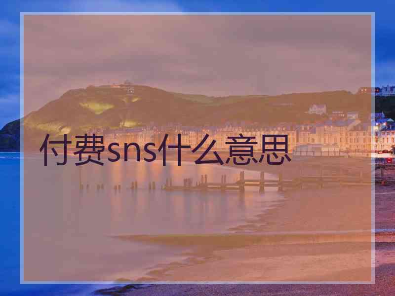 付费sns什么意思