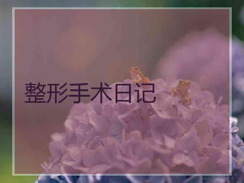 整形手术日记