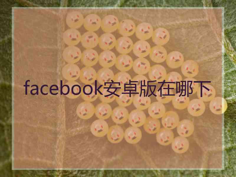 facebook安卓版在哪下