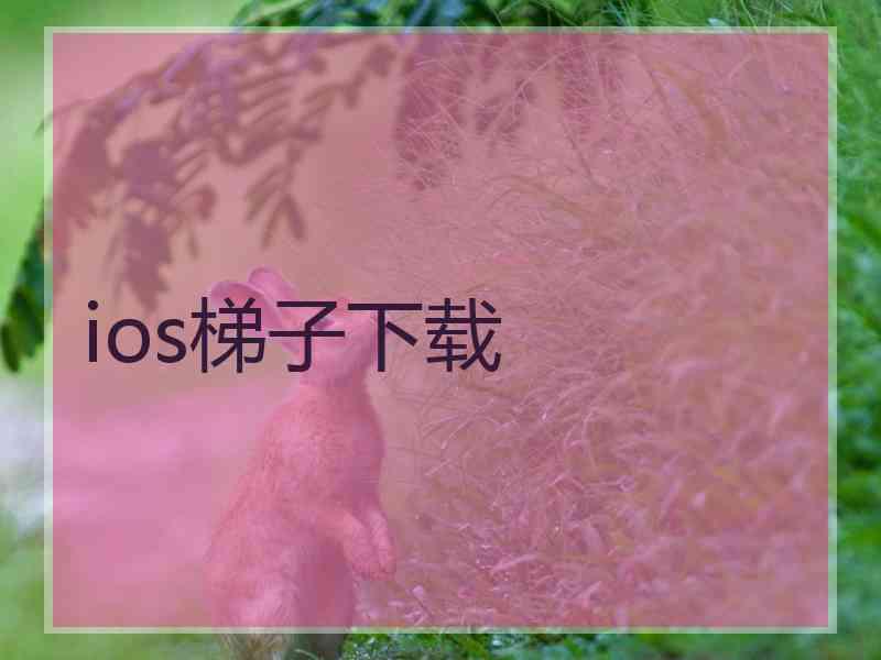 ios梯子下载