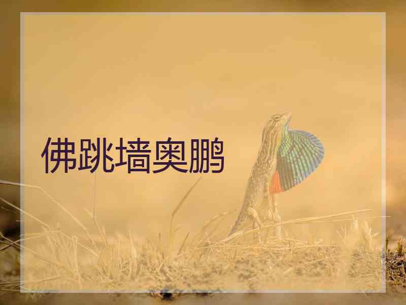 佛跳墙奥鹏