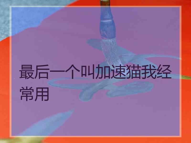最后一个叫加速猫我经常用