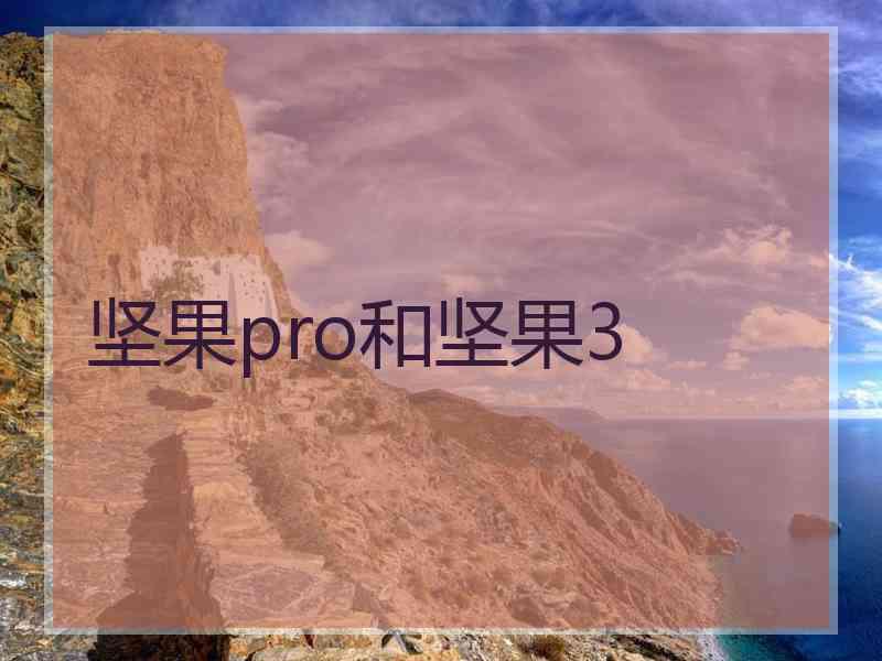 坚果pro和坚果3