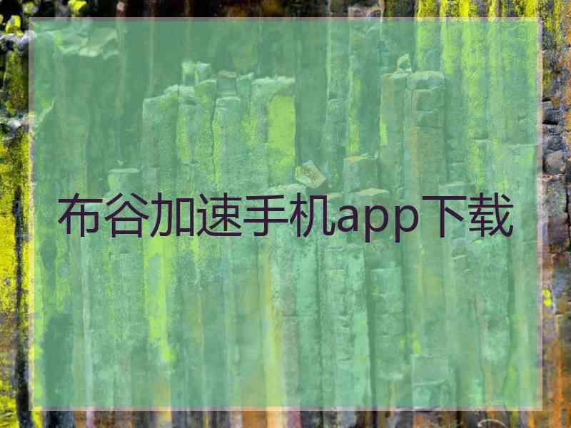 布谷加速手机app下载