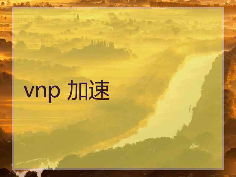 vnp 加速