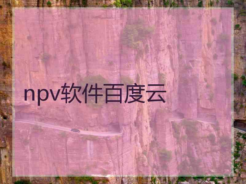 npv软件百度云