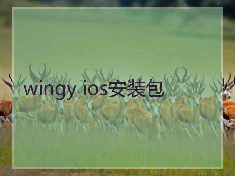 wingy ios安装包