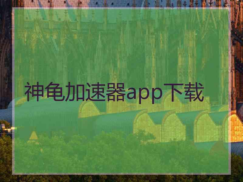 神龟加速器app下载