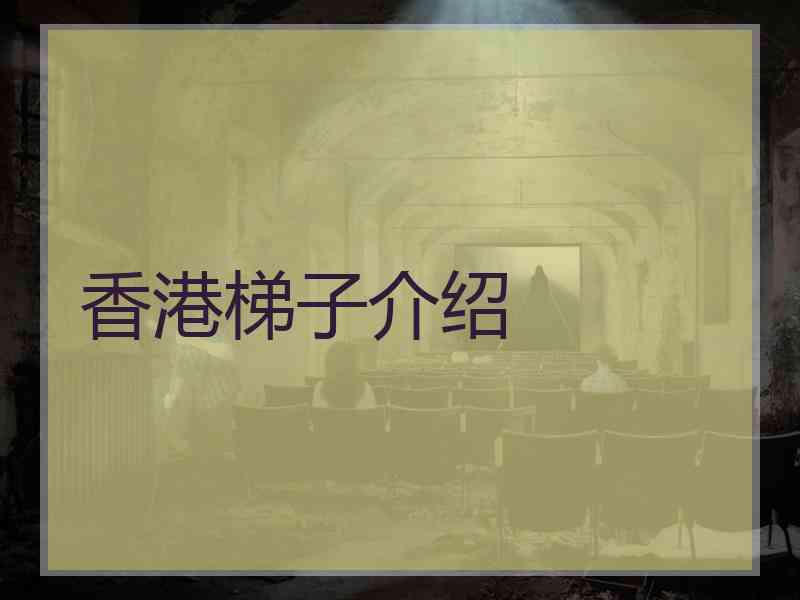 香港梯子介绍