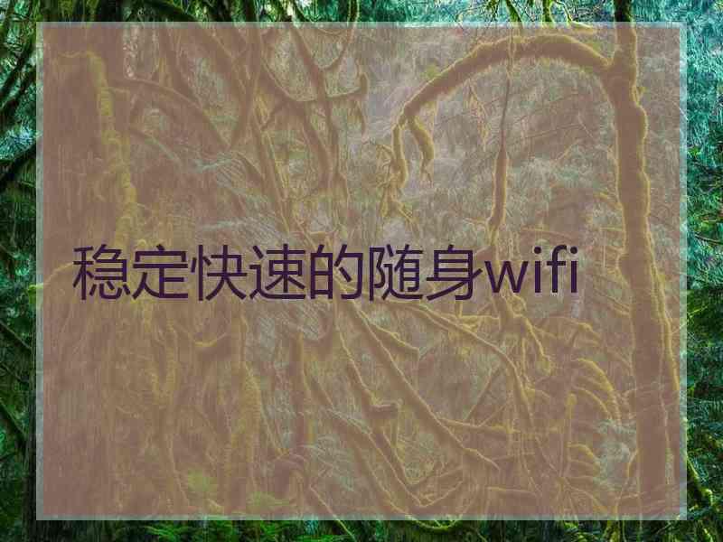 稳定快速的随身wifi