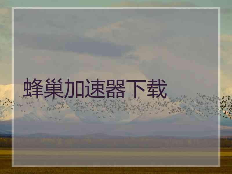 蜂巢加速器下载