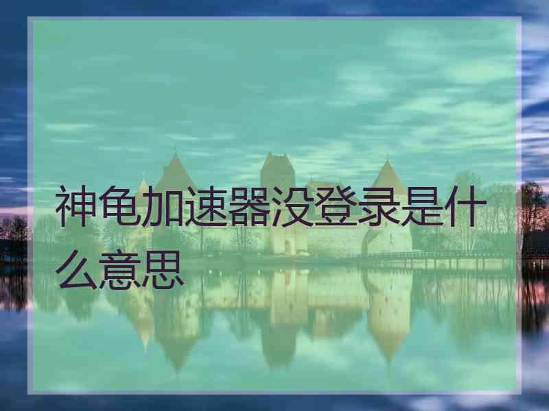 神龟加速器没登录是什么意思