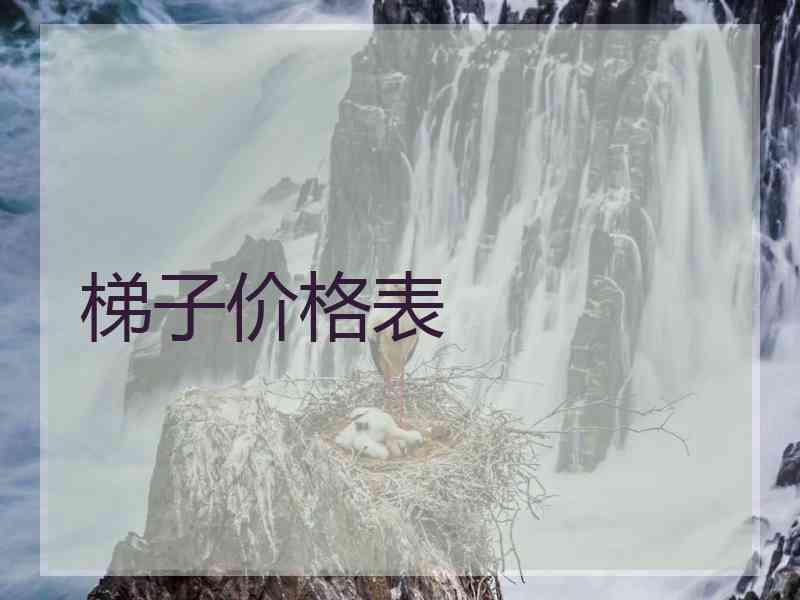 梯子价格表