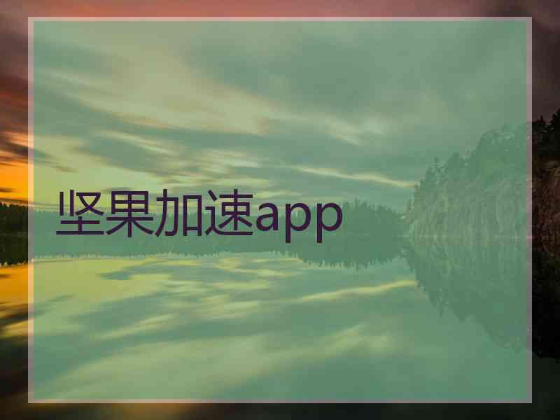 坚果加速app